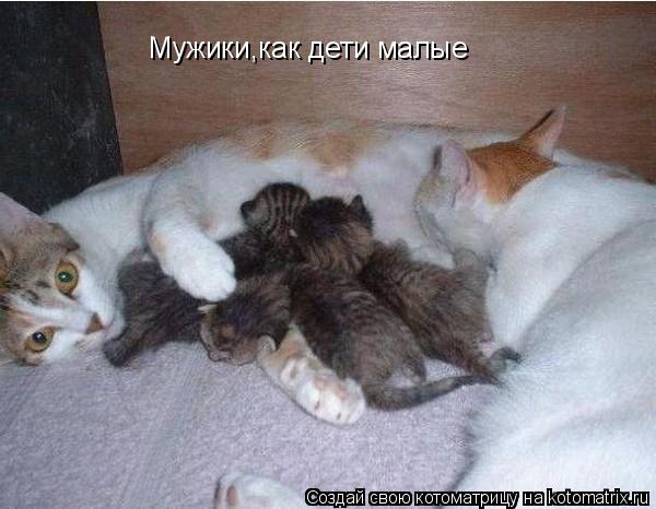 Мужики,как дети малые... Котоматрица: Мужики,как дети малые