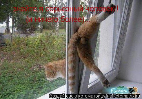 знайте,я серьезный человек!! (и ничего более)...... Котоматрица: знайте,я серьезный человек!! (и ничего более)...