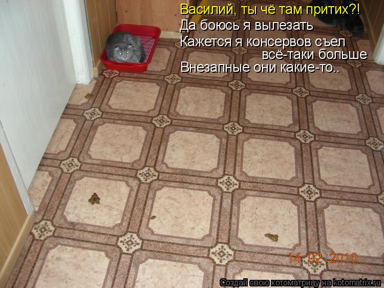 Василий, ты чё там притих?! Да боюсь я вылезать Кажется я консервов съел всё-таки больше Внезапные он... Котоматрица: Василий, ты чё там притих?! Да боюсь я вылезать Кажется я консервов съел всё-таки больше Внезапные они какие-то..