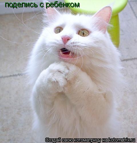поделись с ребёнком... Котоматрица: поделись с ребёнком