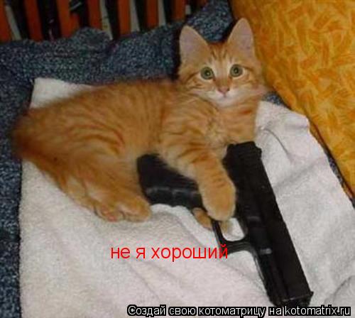 не я хороший... Котоматрица: не я хороший
