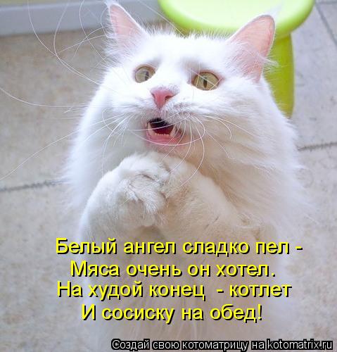 Белый ангел сладко пел - Мяса очень он хотел. На худой конец - котлет И сосиску на обед!... Котоматрица: Белый ангел сладко пел - Мяса очень он хотел. На худой конец - котлет И сосиску на обед!