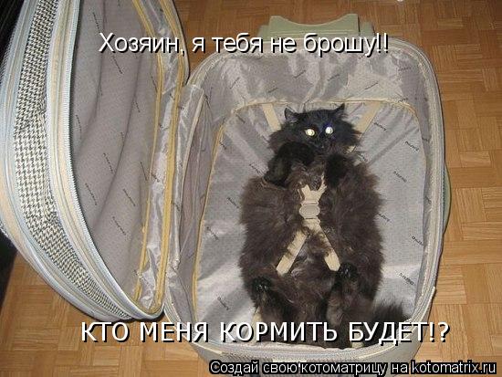 Хозяин, я тебя не брошу!! КТО МЕНЯ КОРМИТЬ БУДЕТ!?... Котоматрица: Хозяин, я тебя не брошу!! КТО МЕНЯ КОРМИТЬ БУДЕТ!?