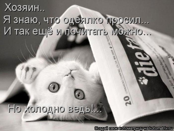 Хозяин.. Я знаю, что одеялко просил... И так ещё и почитать можно... Но холодно ведь!...... Котоматрица: Хозяин.. Я знаю, что одеялко просил... И так ещё и почитать можно... Но холодно ведь!...