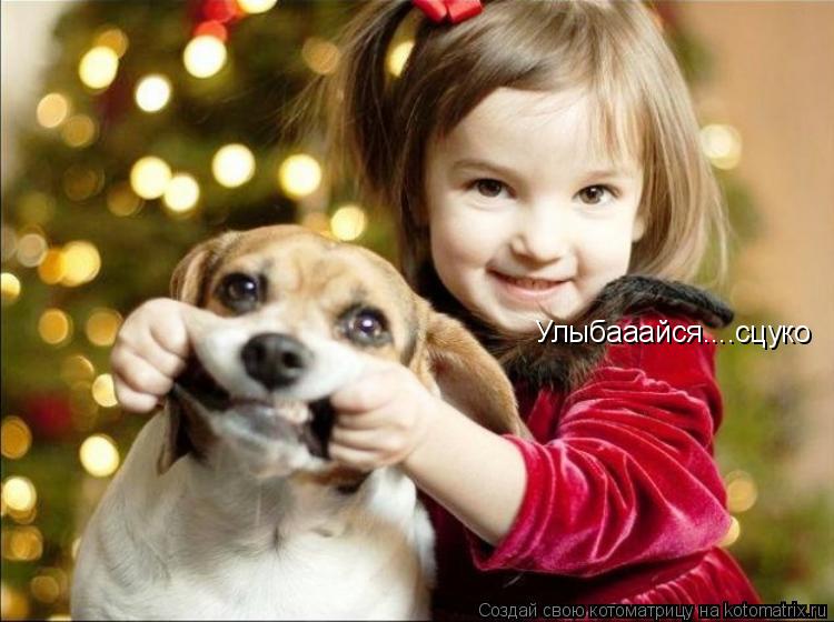 Улыбааайся....сцуко... Котоматрица: Улыбааайся....сцуко