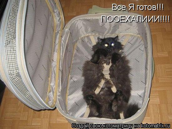 Все Я готов!!! ПООЕХАЛИИИ!!!!... Котоматрица: Все Я готов!!! ПООЕХАЛИИИ!!!!