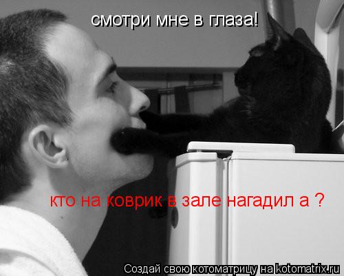 смотри мне в глаза! кто на коврик в зале нагадил а ?... Котоматрица: смотри мне в глаза! кто на коврик в зале нагадил а ?