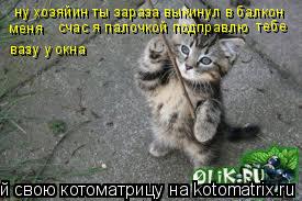 ну хозяйин ты зараза выкинул в балкон меня счас я палочкой подправлю тебе вазу у окна... Котоматрица: ну хозяйин ты зараза выкинул в балкон меня счас я палочкой подправлю тебе вазу у окна