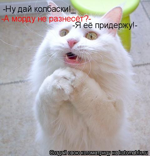 -Ну дай колбаски!_ -А морду не разнесёт?- -Я её придержу!-... Котоматрица: -Ну дай колбаски!_ -А морду не разнесёт?- -Я её придержу!-