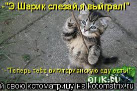 -"Э Шарик слезай,я выйграл!" -"Теперь тебе вигиторианскую еду есть!"... Котоматрица: -"Э Шарик слезай,я выйграл!" -"Теперь тебе вигиторианскую еду есть!"