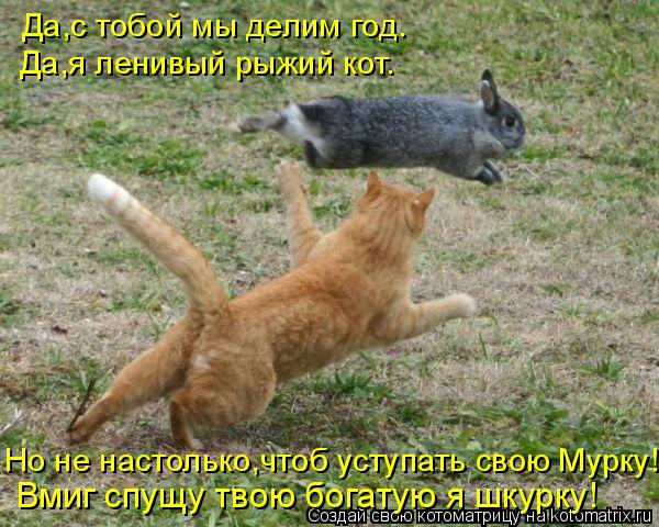 Да,с тобой мы делим год. Да,я ленивый рыжий кот. Но не настолько,чтоб уступать свою Мурку! Вмиг спущу... Котоматрица: Да,с тобой мы делим год. Да,я ленивый рыжий кот. Но не настолько,чтоб уступать свою Мурку! Вмиг спущу твою богатую я шкурку!