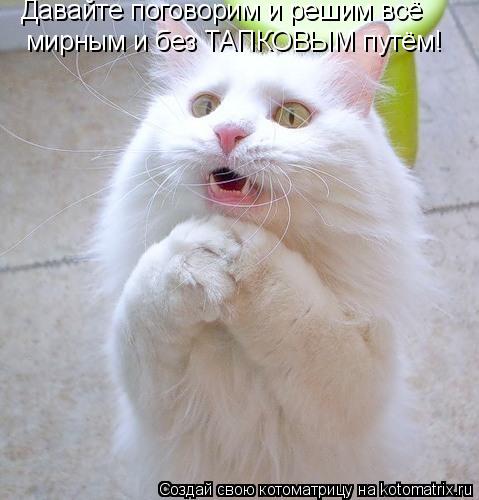 Давайте поговорим и решим всё мирным и без ТАПКОВЫМ путём!... Котоматрица: Давайте поговорим и решим всё мирным и без ТАПКОВЫМ путём!