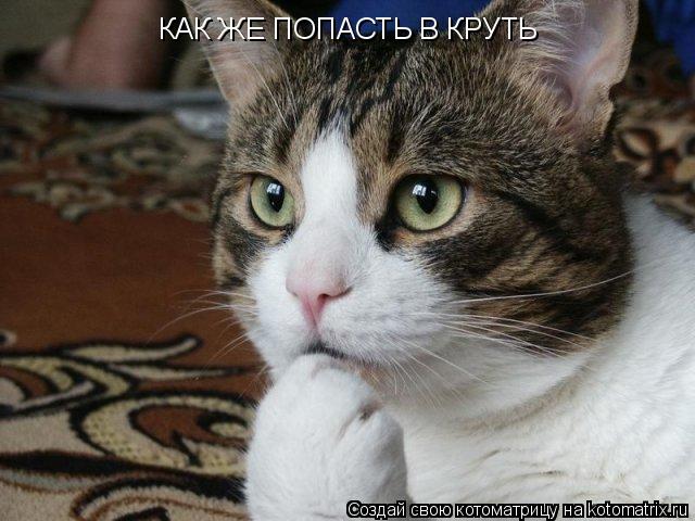 КАК ЖЕ ПОПАСТЬ В КРУТЬ... Котоматрица: КАК ЖЕ ПОПАСТЬ В КРУТЬ