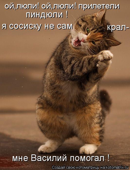ой,люли! ой,люли! прилетели я сосиску не сам пиндюли ! ... Котоматрица: ой,люли! ой,люли! прилетели я сосиску не сам пиндюли ! крал- мне Ва