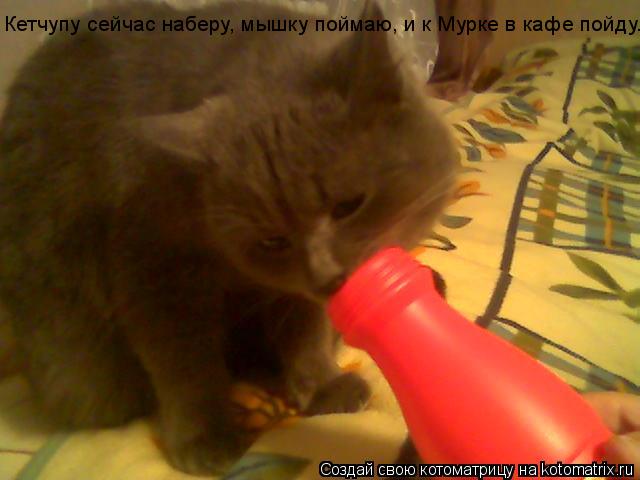 Кетчупу сейчас наберу, мышку поймаю, и к Мурке в кафе пойду...... Котоматрица: Кетчупу сейчас наберу, мышку поймаю, и к Мурке в кафе пойду...