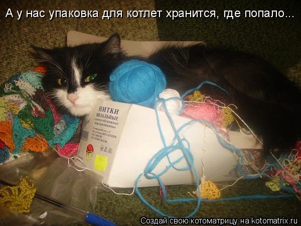 А у нас упаковка для котлет хранится, где попало...... Котоматрица: А у нас упаковка для котлет хранится, где попало...