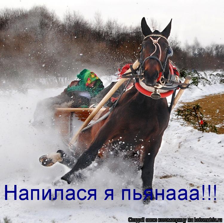Напилася я пьянааа!!!... Котоматрица: Напилася я пьянааа!!!