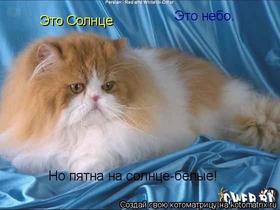 Это небо. Это Солнце Но пятна на солнце-белые!... Котоматрица: Это небо. Это Солнце Но пятна на солнце-белые!
