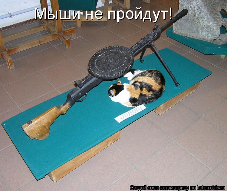 Мыши не пройдут!... Котоматрица: Мыши не пройдут!