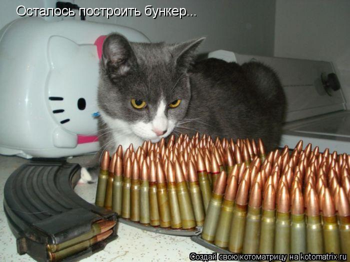 Осталось построить бункер...... Котоматрица: Осталось построить бункер...