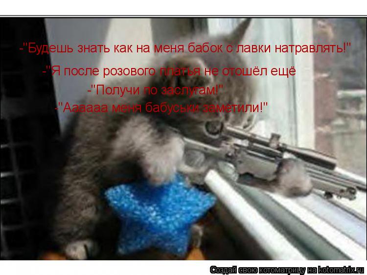 -"Будешь знать как на меня бабок с лавки натравлять!" -"Я после розового платья не отошёл ещё -"Я по... Котоматрица: -"Будешь знать как на меня бабок с лавки натравлять!" -"Я после розового платья не отошёл ещё -"Я после розового платья не отошёл ещё -"Получи