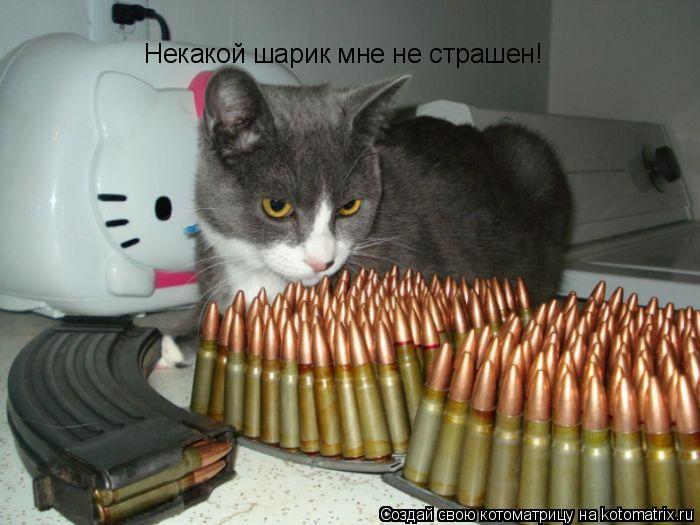 Некакой шарик мне не страшен!... Котоматрица: Некакой шарик мне не страшен!