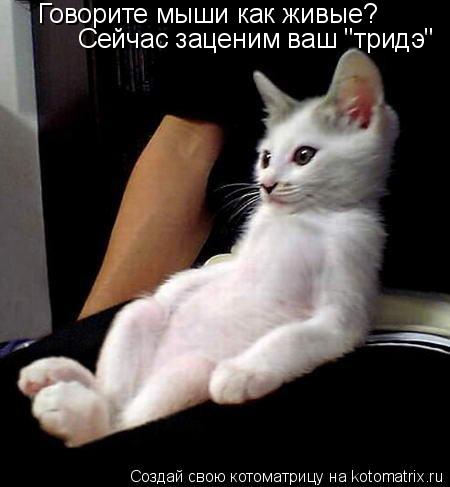 Говорите мыши как живые? Сейчас заценим ваш "тридэ"... Котоматрица: Говорите мыши как живые? Сейчас заценим ваш "тридэ"