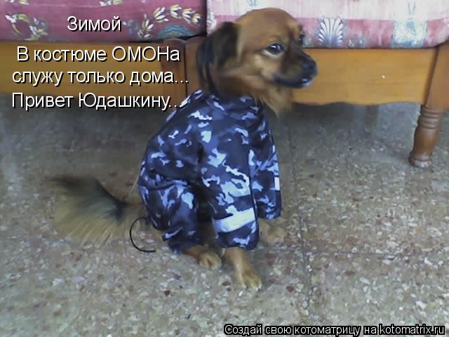 В костюме ОМОНа служу только дома... Привет Юдашкину... Зимой... Котоматрица: В костюме ОМОНа служу только дома... Привет Юдашкину... Зимой