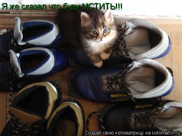 Я же сказал что буду МСТИТЬ!!!... Котоматрица: Я же сказал что буду МСТИТЬ!!!