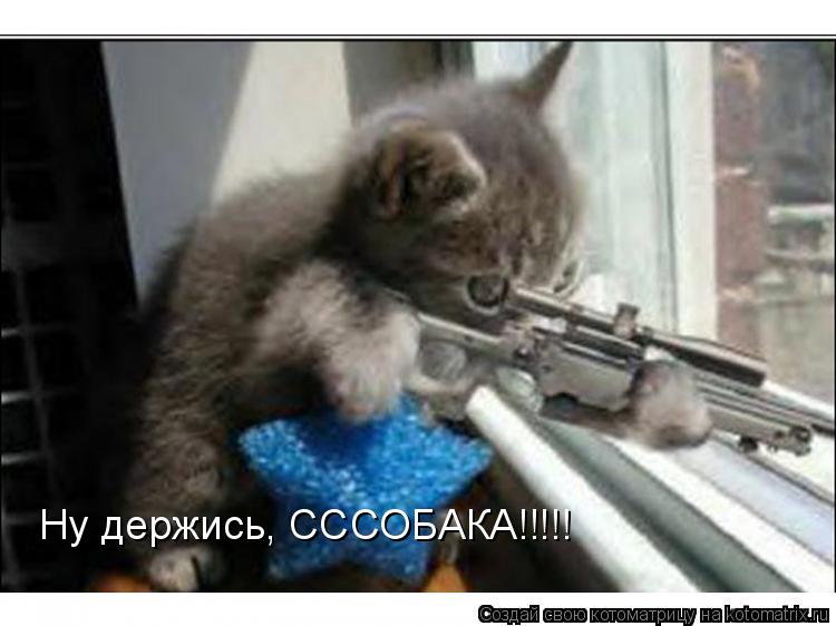 Ну держись, СССОБАКА!!!!!... Котоматрица: Ну держись, СССОБАКА!!!!!