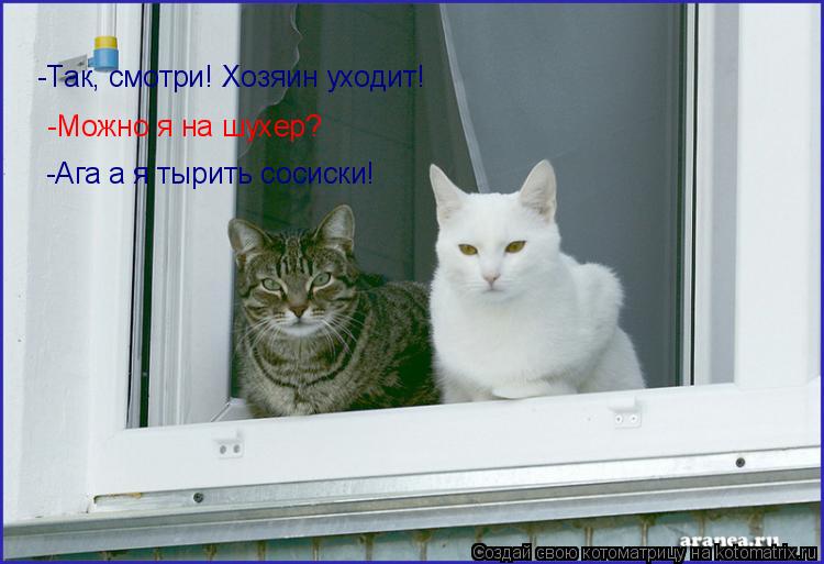 -Так, смотри! Хозяин уходит! -Можно я на шухер? -Ага а я тырить сосиски!... Котоматрица: -Так, смотри! Хозяин уходит! -Можно я на шухер? -Ага а я тырить сосиски!