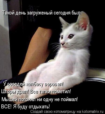Такой день загруженый сегодня был: У соседей колбасу воровал! Мышей погонял ни одну не поймал! Шторы... Котоматрица: Такой день загруженый сегодня был: У соседей колбасу воровал! Мышей погонял ни одну не поймал! Шторы драл! Все тапки пометил! ВСЕ! Я буду отд