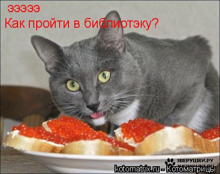эээээ Как пройти в библиотэку?... Котоматрица: эээээ Как пройти в библиотэку?
