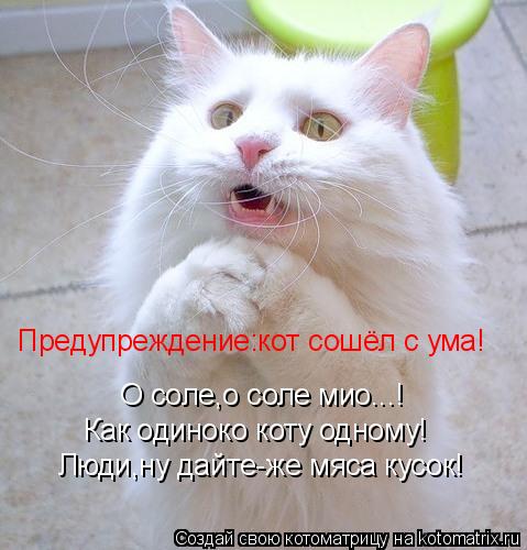Предупреждение:кот сошёл с ума! О соле,о соле мио...! Как одиноко коту одному! Люди,ну дайте-же мяса ... Котоматрица: Предупреждение:кот сошёл с ума! О соле,о соле мио...! Как одиноко коту одному! Люди,ну дайте-же мяса кусок!