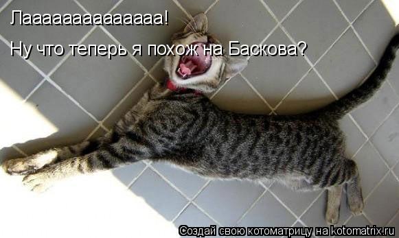 Лаааааааааааааа! Ну что теперь я похож на Баскова?... Котоматрица: Лаааааааааааааа! Ну что теперь я похож на Баскова?