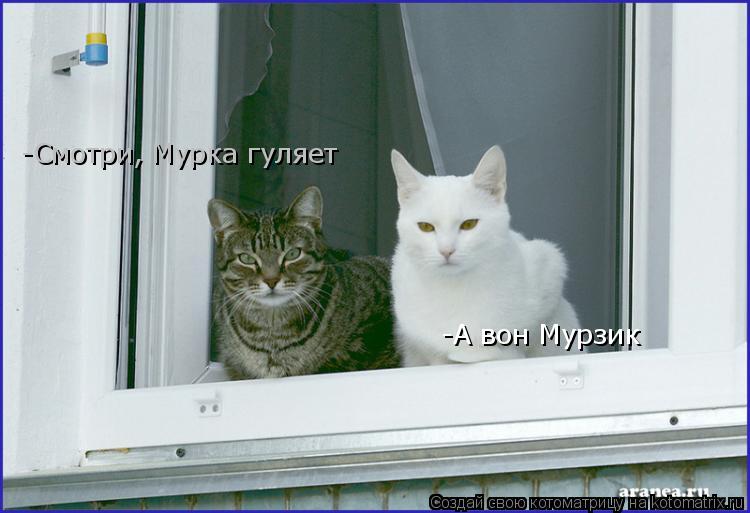 -Смотри, Мурка гуляет -А вон Мурзик... Котоматрица: -Смотри, Мурка гуляет -А вон Мурзик