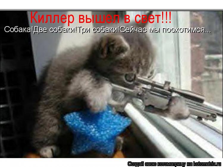 Собака!Две собаки!Три собаки!Сейчас мы поохотимся... Киллер вышел в свет!!!... Котоматрица: Собака!Две собаки!Три собаки!Сейчас мы поохотимся... Киллер вышел в свет!!!