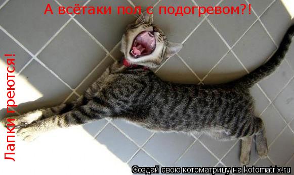 Лапки греютсяаааа!А всётаки пол с подогревом Лапки греются! А всётаки пол с подогревом?!... Котоматрица: Лапки греютсяаааа!А всётаки пол с подогревом Лапки греются! А всётаки пол с подогревом?!