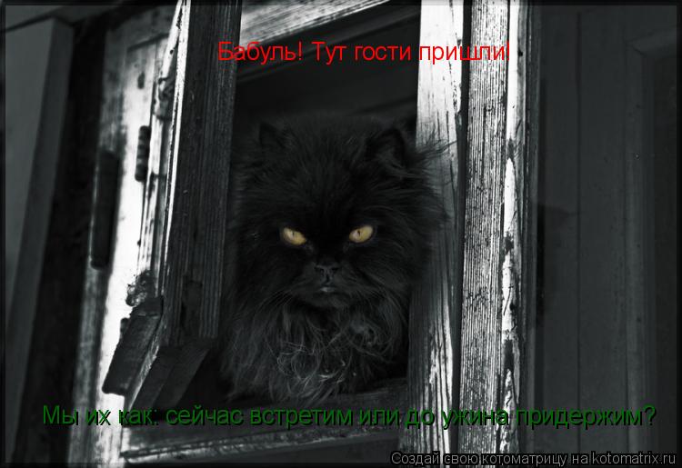 Бабуль! Тут гости пришли! Мы их как: сейчас встретим или до ужина придержим?... Котоматрица: Бабуль! Тут гости пришли! Мы их как: сейчас встретим или до ужина придержим?