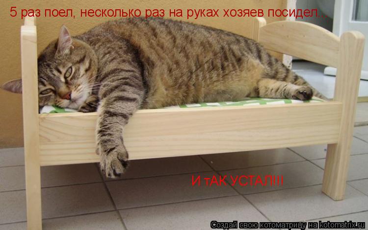 5 раз поел, несколько раз на руках хозяев посидел... И тАК УСТАЛ!!!... Котоматрица: 5 раз поел, несколько раз на руках хозяев посидел... И тАК УСТАЛ!!!