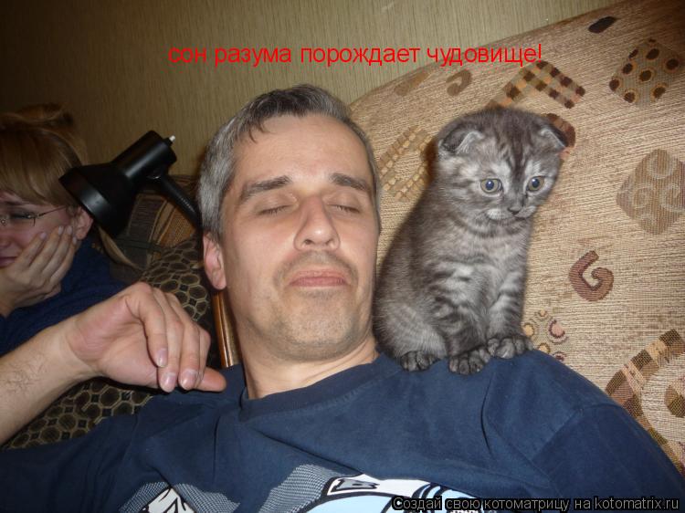 сон разума порождает чудовище!... Котоматрица: сон разума порождает чудовище!