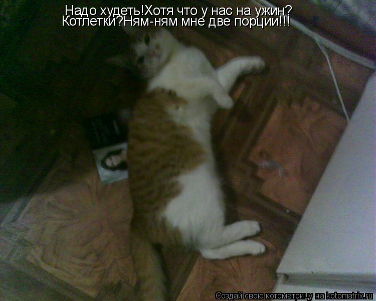 Надо худеть!Хотя что у нас на ужин? Котлетки?Ням-ням мне две порции!!!... Котоматрица: Надо худеть!Хотя что у нас на ужин? Котлетки?Ням-ням мне две порции!!!
