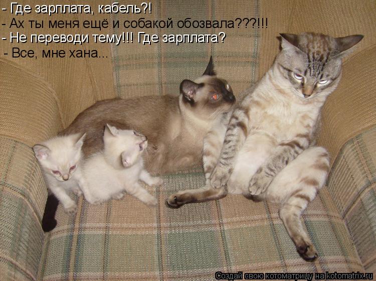 - Где зарплата, кабель?! - Ах ты меня ещё и собакой обозвала???!!! - Не переводи тему!!! Где зарплата... Котоматрица: - Где зарплата, кабель?! - Ах ты меня ещё и собакой обозвала???!!! - Не переводи тему!!! Где зарплата? - Все, мне хана...