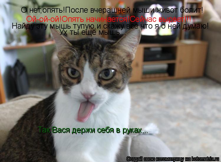 О нет,опять!После вчерашней мыши живот болит! Ой-ой-ой!Опять начинается!Сейчас вырвет!!! Найду эту мы... Котоматрица: О нет,опять!После вчерашней мыши живот болит! Ой-ой-ой!Опять начинается!Сейчас вырвет!!! Найду эту мышь тупую,и скажу всё что я о ней думаю! Ух