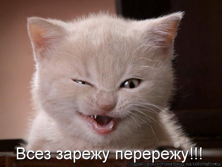 Всез зарежу перережу!!!... Котоматрица: Всез зарежу перережу!!!