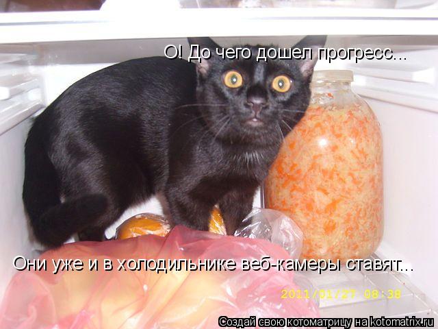О! До чего дошел прогресс... Они уже и в холодильнике веб-камеры ставят...... Котоматрица: О! До чего дошел прогресс... Они уже и в холодильнике веб-камеры ставят...