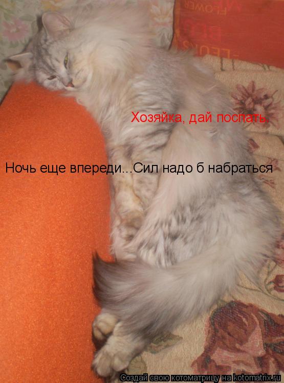 Хозяйка, дай поспать. Ночь еще впереди...Сил надо б набраться... Котоматрица: Хозяйка, дай поспать. Ночь еще впереди...Сил надо б набраться