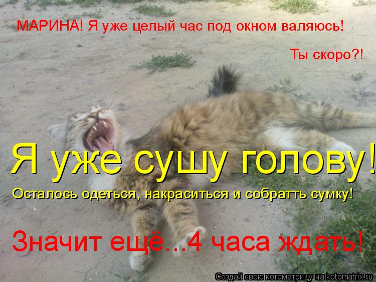 МАРИНА! Я уже целый час под окном валяюсь! Ты скоро?! Я уже сушу голову! Осталось одеться, накрасить... Котоматрица: МАРИНА! Я уже целый час под окном валяюсь! Ты скоро?! Я уже сушу голову! Осталось одеться, накраситься и собратть сумку! Значит ещё...4 часа жда