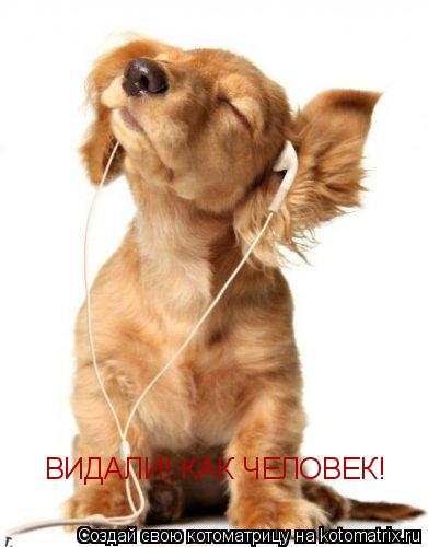 ВИДАЛИ! КАК ЧЕЛОВЕК!... Котоматрица: ВИДАЛИ! КАК ЧЕЛОВЕК!