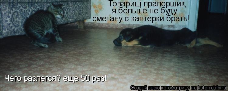 Чего разлегся? еще 50 раз! Товарищ прапорщик, я больше не буду сметану с каптерки брать!... Котоматрица: Чего разлегся? еще 50 раз! Товарищ прапорщик, я больше не буду сметану с каптерки брать!